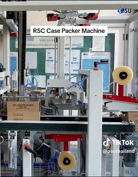RSC Case Packer Machine - เครื่องบรรจุสินค้าลงกล่องอัตโนมัติ