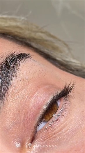 “I can’t get my lashes to soften onto the flat shield.”⁠ ⁠ Sound familiar? You’re not alone - this is one of the most common challenges in Korean lash lifts.⁠ ⁠ Here’s how to fix it:⁠ ✨ Check your viscosity - the right thickness gives you maximum control for directing lashes.⁠ ✨ Pre-soften with Step 1 - let lashes sit for a few minutes before wrapping to make them more pliable.⁠ ✨ Apply with precision - hold at the base and work the solution up the lash to guide them in the right direction.⁠ ✨ A