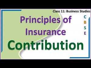 Principles of Insurance, Principle of Contribution