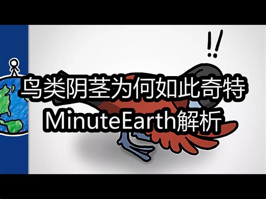 【中配】鸟类阴茎为何如此奇特：MinuteEarth解析 - MinuteEarth