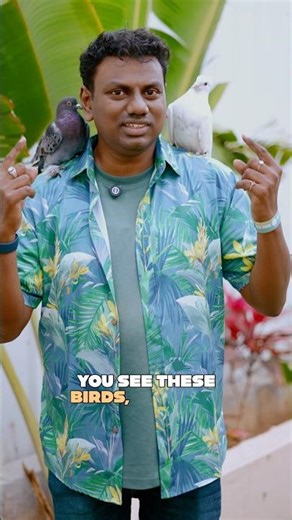 Worried and Stressed? If GOD Feeds the Birds… Won’t He Care for You? #shorts #TrustGod #Worry