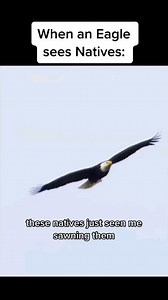 5.9K views · 5.6K reactions | Posted @withregram • @0ff.the.rez Part 1 #nativeamerican #indigenous #rezlife #nativememes | Red Rebel Armour | Facebook