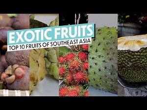 10 Exotic Tropical Fruits You Need To See (And Try!)
