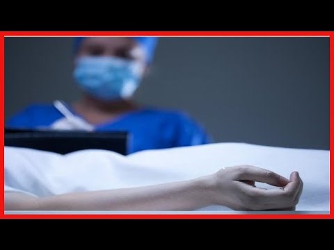 What is the difference between autopsy and necropsy?