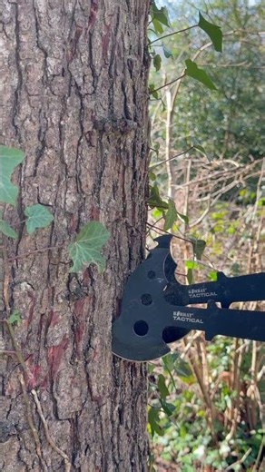 Primtive Skils | Axe Throwing #primitive #axethrowing #bushcraft #outdoors #axe #survival
