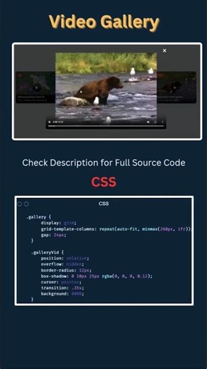Stunning Video Gallery Using HTML & CSS 🔥 #coding
