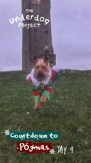 The Underdog Project on Instagram: "Countdown to Pógmas - Day 9 🎄 Today’s outfit: Elf. Location: Castle Hill. Performance review: Stood proudly on top of Huddersfield, wearing an elf costume, watching over Christmas like this was always the plan. Festive. Iconic. Geographically impressive. Verdict? Was Póg Naughty or Nice? ⬇️ HOW TO ENTER ⬇️ • Follow @theunderdogproject • Like this post • Share to your story • Comment Naughty or Nice Last day to enter. Winner announced on Boxing Day 🎁 🎁 Prize
