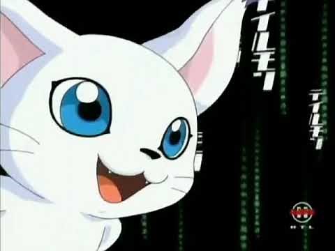 Every DNA Digivolution in Digimon Adventure 02 (US Dub)