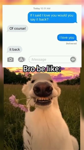 Funny text message meme #funny #shorts #message #memes #bulun