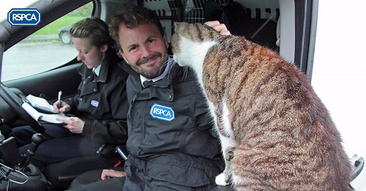 Last chance to apply to be a trainee inspector! The job listing closes on Friday, so if you want to help animals and work with people, apply today: http://bit.ly/2lZr3vR | RSPCA (England & Wales)