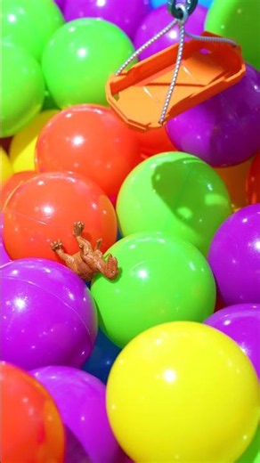 Blippi’s Ball Pit Dino Rescue! 🦖🔵 Can We Find Them All? #BallPit #Dinosaur #Blippi