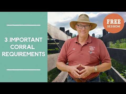 3 Important Corral Requirements for Cattle | Joel Salatin