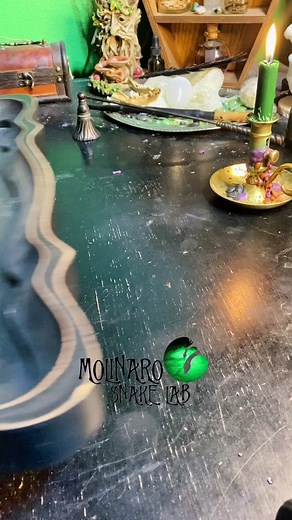 Ethically Sourced Snake Specimens Collection | Molinaro's Snake Lab