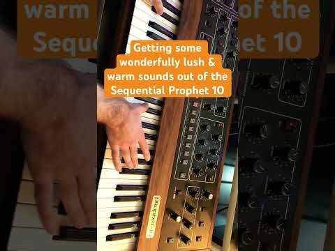 Sequential Prophet 10 detuned patch