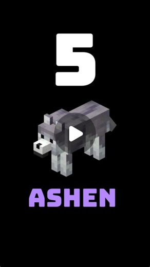 Inzmam | Top 5 Rarest Minecraft Dog | Instagram