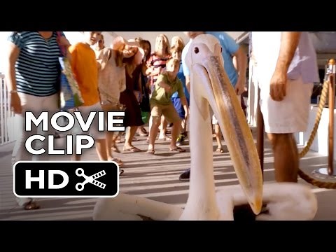 Dolphin Tale 2 Movie CLIP - Introducing Rufus (2014) - Morgan Freeman Dolphin Drama HD