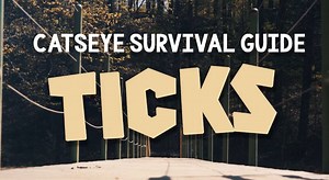 20K views · 40 reactions | Keep your summer tick-free with these tips from Catseye! | Catseye Pest Control | Facebook