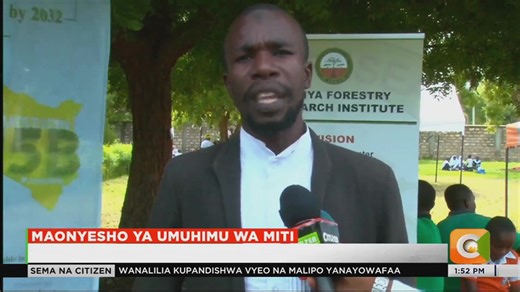 Maonyesho ya umuhimu wa miti: Wakazi wa Lamu wahamasishwa kuhusu umuhimu wa miti Wakazi wa kaunti ya Lamu watakiwa kupanda miti ya matunda #SemaNaCitizen | Citizen TV Kenya