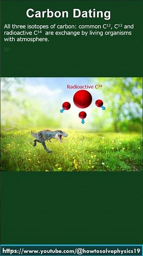 Carbon Dating | Radioactivity |