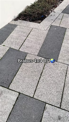 🐊 (@cars.68)’s video of brabus