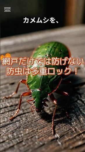 【カメムシを家に入れない方法5選】侵入経路を全部ふさげ！｜ #裏タメ #shorts #雑学 #カメムシ #害虫対策 #虫対策 #暮らし
