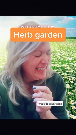 Chamomile Pronunciation Guide and Gardening Tips