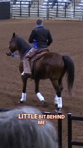 In this lesson, Jack Curtis shares a technique to improve the rider’s leg position and movement for a smoother, more balanced ride. He explains that practicing the thigh coming off the saddle and setting it back down is essential for developing better control and communication with the horse. By focusing on lifting the left and right thighs off the saddle and gently setting them back down, the rider works on engaging the muscles in the legs for a more refined connection with the horse. Jack emph