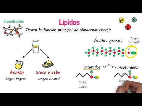 Lipids Biomolecules