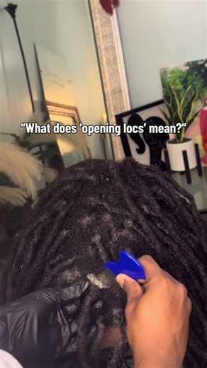 Opening locs BEFORE shampoo is the first step to clean healthy locs! | Dread Locks Shampoo