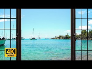 4K Tropical Beach window view in the Caribbean - Palm Trees, Ocean Sounds, Waves, White Noise