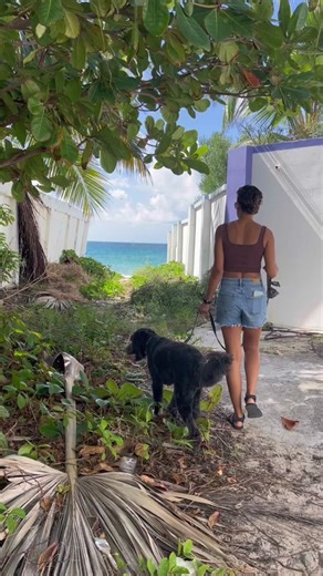 Exploring Sint Maarten's Stunning Beaches