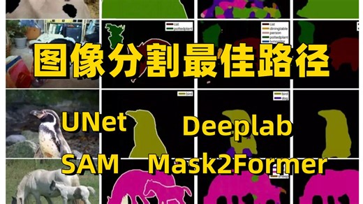 【图像分割】新手必看！代码复现，保姆级教程，从找论文到代码跑通!存下吧，很难找全的！ -人工智能/机器学习/深度学习