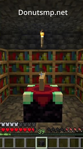 The 3 Best Money Making Methods In the Donut SMP