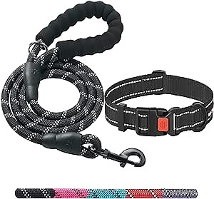 Heavy Duty Dog Leash - Comfortable Padded Handle, 5 ft Long - Dog Leashes for Small Medium Large Dogs (Leash+Collar XS Neck 10.5"-13.5", Black)