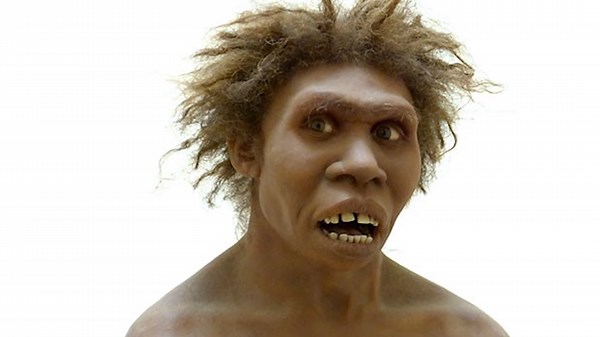 How Language Began for Our Ancestors