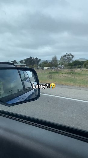 #fyp #foryou #larry #larries #larrystylinson #harrystyles #louistomlinson #onedirection #1D