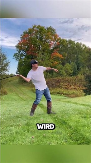 The Supersonic Crack of a Whip Explained 💥 #shorts #viral #shorts