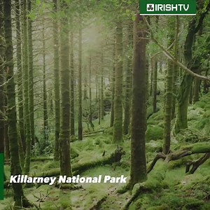 The county known as ’The Kingdom’💚 | Irish TV