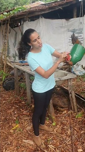 Teaching and tips for killing chicken