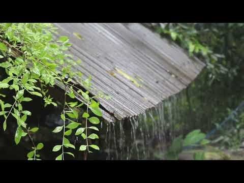 Cozy Summer Rain on Tin Roof 🌧️ Relaxing Rain Sounds for Sleeping & Study
