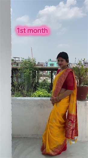 My Pregnancy Journey: Celebrating Every Month