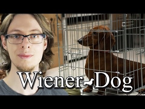 Wiener-Dog - Movie Review