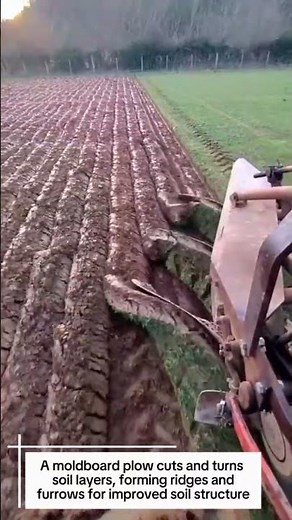 Agricultural Ridge Plowing and Soil Turning Using Moldboard Plow ⚙️🌱