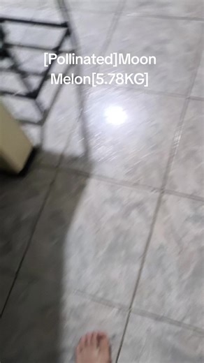 Moon Melon: 99.9% Accurate Pollination Technique