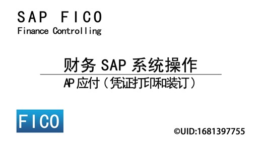 财务SAP系统操作之AP应付(凭证打印和装订)