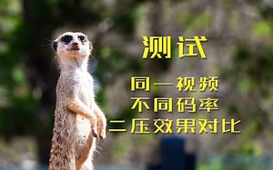 B站二压效果对比：同一视频不同码率测试