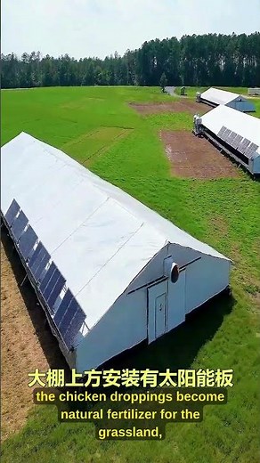 One person runs 6,000 chickens with this mobile solar barn 🐔☀️ #Farming #Innovation #Poultry
