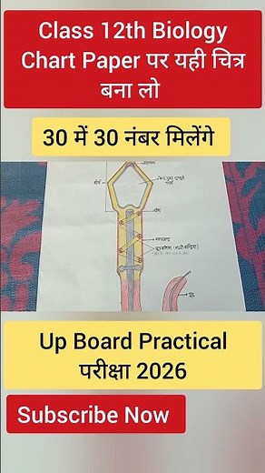 मानव शुक्राणु प्रैक्टिकल Viva || Shukranu Practical viva |Class 12th Biology Viva / chart paper/12th