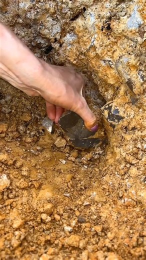 The Stone That Looks Completely Transparent 🤯