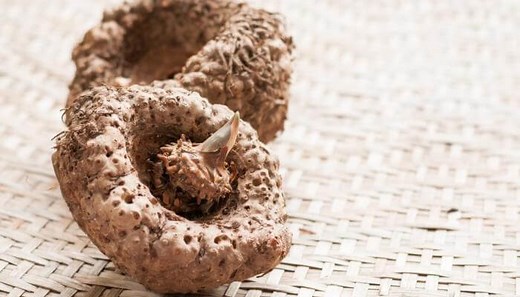 Konjac (Glucomanano) - Propiedades, Usos, Contraindicaciones y Más